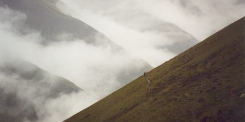 PRICE OF LETTER (2004)